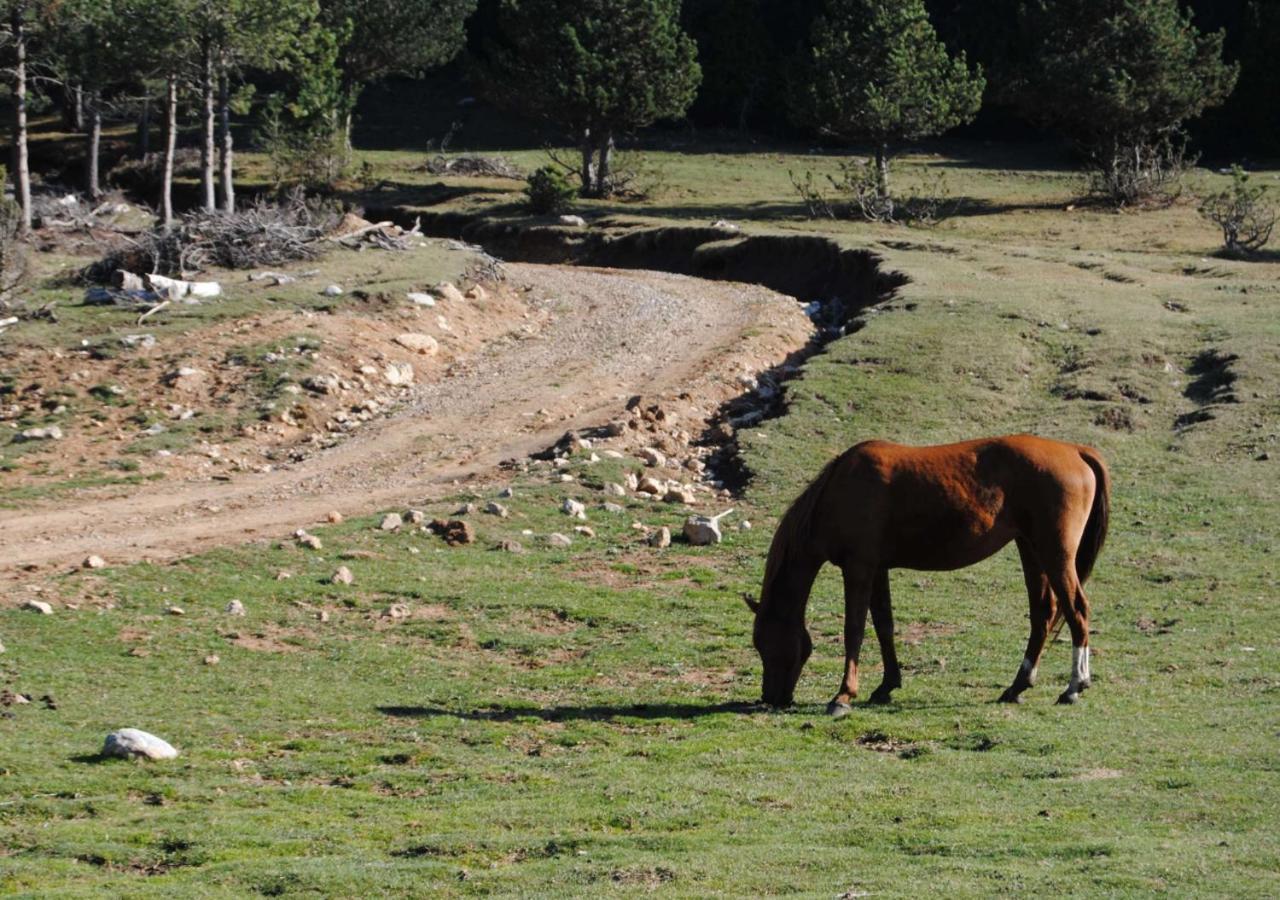Apartamento Con Encanto En El Pirineo La Pobla de Lillet Εξωτερικό φωτογραφία